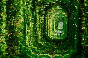 “Đường hầm'” tình yêu đẹp như cổ tích ở Ukraine 