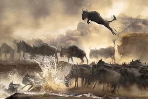 Những khung hình ấn tượng nhất thế giới