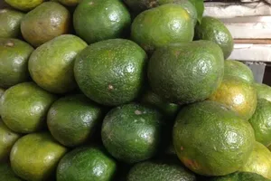 5 loại hoa quả giải nhiệt tốt nhất cho những ngày hè