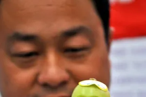 Trái cây hình em bé