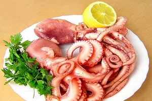 Bạch tuộc - vị thuốc chống suy nhược