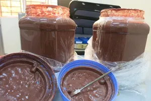 Hơn 9 kg tiền chất sản xuất ma túy đá ngụy trang trong mắm tôm