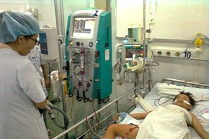 Bị ong chích 60 mũi, bệnh nhi suy đa cơ quan