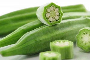 Đậu bắp - nguồn dinh dưỡng kỳ diệu 