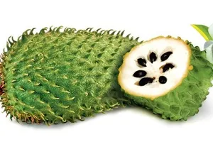 Mãng cầu xiêm không chữa được ung thư như đồn đoán 