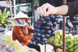 Trung Quốc tuồn nho, chanh, táo... nhiễm độc vào Việt Nam