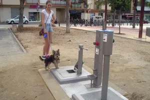 Toilet công cộng dành cho chó đầu tiên trên thế giới