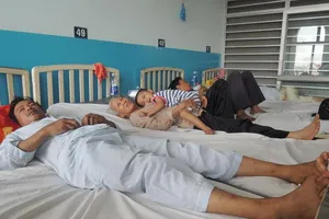 Uống máu con nưa, 11 người nhập viện