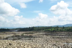 Phú Yên: Công bố thiên tai hạn hán trên toàn tỉnh