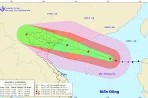 Dự báo bão số 3 sẽ đổ bộ vào Quảng Ninh 