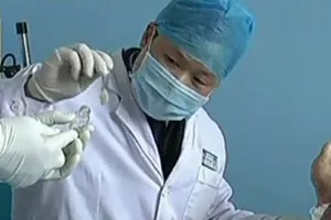 Dùng giòi điều trị bệnh tiểu đường 