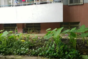 Bé trai 4 tuổi thoát chết khi rơi từ lầu 10?