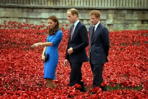 'Dòng sông hoa' anh túc chảy rực đỏ London