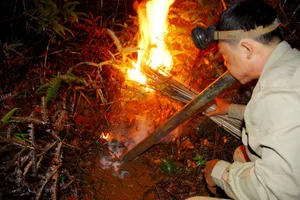 Săn “ong tử thần”