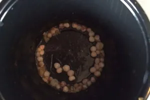 Ăn hàu moi được 50 viên ngọc trai