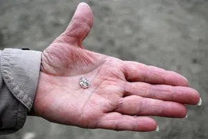 Đi dạo công viên bất ngờ tìm thấy kim cương 'khủng'