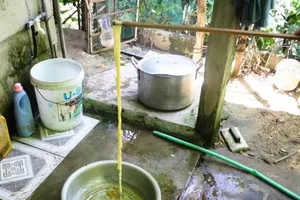 Sán sơ mít dài 12m ký sinh trong ruột người