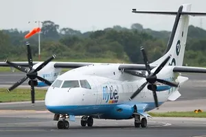 Máy bay hạ cánh khẩn cấp vì con ong kẹt trong động cơ