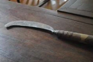 Đề nghị truy tố bị can trả thù giúp em, chém nhầm người khác