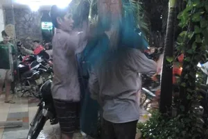 Tình người trong mưa