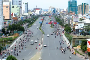 TP.HCM sẽ có thêm cầu gỗ trên đường Điện Biên Phủ