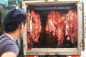 Clip ngăn chặn gần một tấn thịt bò bơm nước trước khi vào chợ