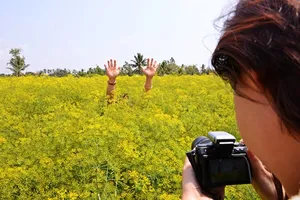 Ngắm 'mùa hoa cải nở vàng bên bến sông' ở xứ công tử Bạc Liêu 