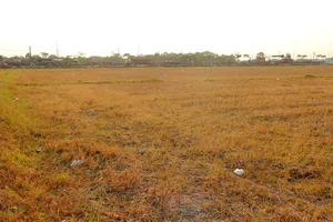  Đồng diều lớn nhất Sài Gòn vắng bóng người