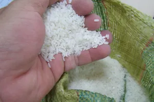 Làm rõ nguyên nhân cơm để ba ngày không thiu