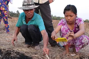 Người dân đổ xô kéo đi xem 'ngọn lửa cháy hoài không tắt'