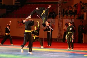 Bế mạc Liên hoan võ thuật quốc tế TP.HCM 2016