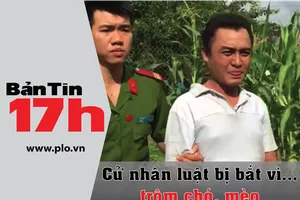 Bản tin 17h: Cử nhân luật bị bắt vì... trộm chó, mèo