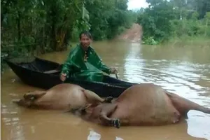  Cục Y tế hướng dẫn phòng, tránh dịch bệnh mùa mưa lũ