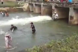 Hàng trăm người bắt cá dưới đập thủy lợi ở Bình Thuận