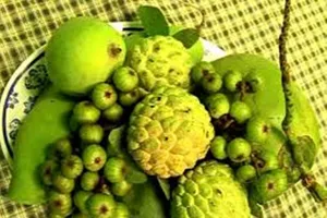 Tác dụng của 5 trái cây 'cầu - sung - vừa - đủ - xài'