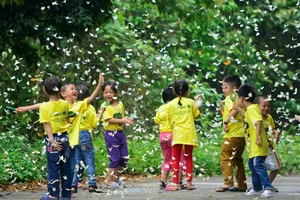 Vào rừng Cúc Phương ngắm bướm bay rợp trời