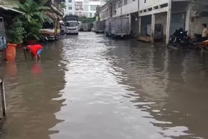 Nhiều tuyến đường cửa ngõ phía Tây TP.HCM bị ngập