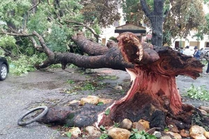 Bão gây thiệt hại khủng khiếp các tỉnh Bắc Trung bộ