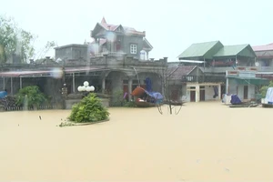 Nhiều nơi ở Ninh Bình chìm trong biển nước