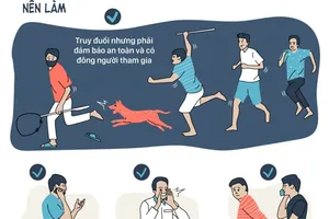 Gặp kẻ trộm chó, bạn nên làm gì để không vướng lao lý? 