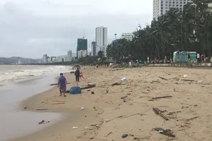 Biển Nha Trang hoang tàn sau bão Damrey 