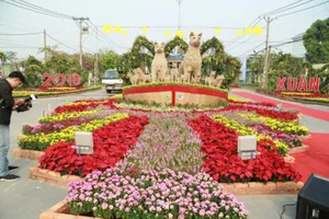 Đường hoa xuân khai mạc sớm nhất TP.HCM