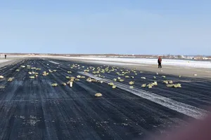 Máy bay Nga bung cửa, hơn 3 tấn vàng rơi xuống đất