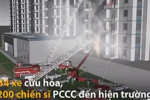 Vụ cháy chung cư Carina, 13 người chết diễn ra thế nào?