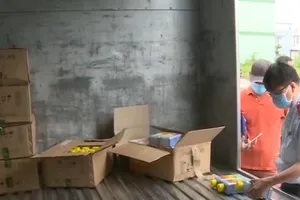 Kiểm tra các sản phẩm thuốc bảo vệ thực vật