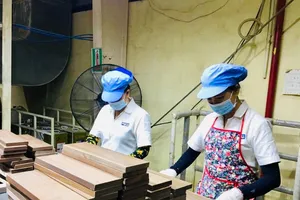 Long An: Thiếu hụt lao động bài toán đang tìm lời giải