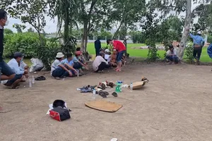 Công an đột kích phá điểm đá gà quy mô lớn ở khu đất hoang