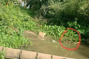 Tìm thấy thi thể bé trai 4 tuổi sau hai ngày mất tích ở Long An