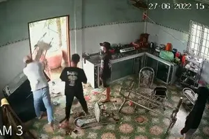 10 đối tượng xông vào nhà cụ bà 78 tuổi đập phá tài sản 