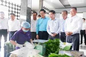 Thường trực Ban Bí thư khảo sát chương trình phát triển nông nghiệp ứng dụng công nghệ cao tại Long An